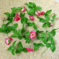 uploads/erp/collection/images/Home Garden/CongDing/XU0612483/img_b/XU0612483_img_b_4